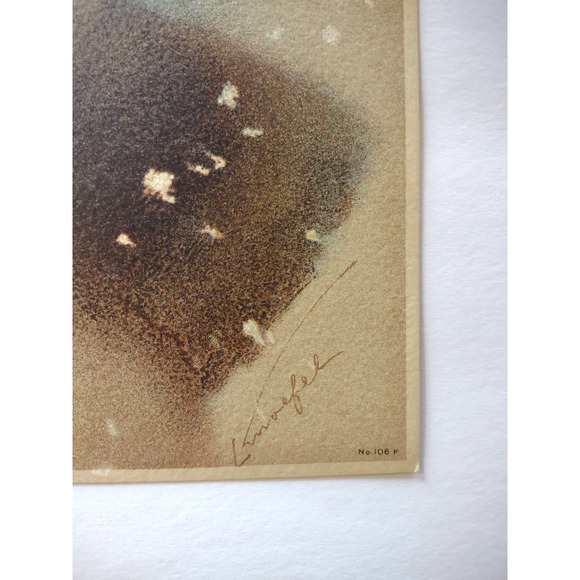 Victorian Art Print Women In Veil Hat Fur Hat Lithograph 1909 Original L Knoefel - Picture 5 of 5